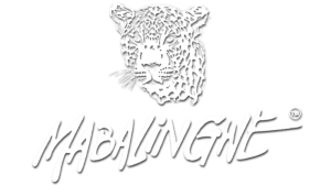 Mabalingwe Nature Reserve Blog