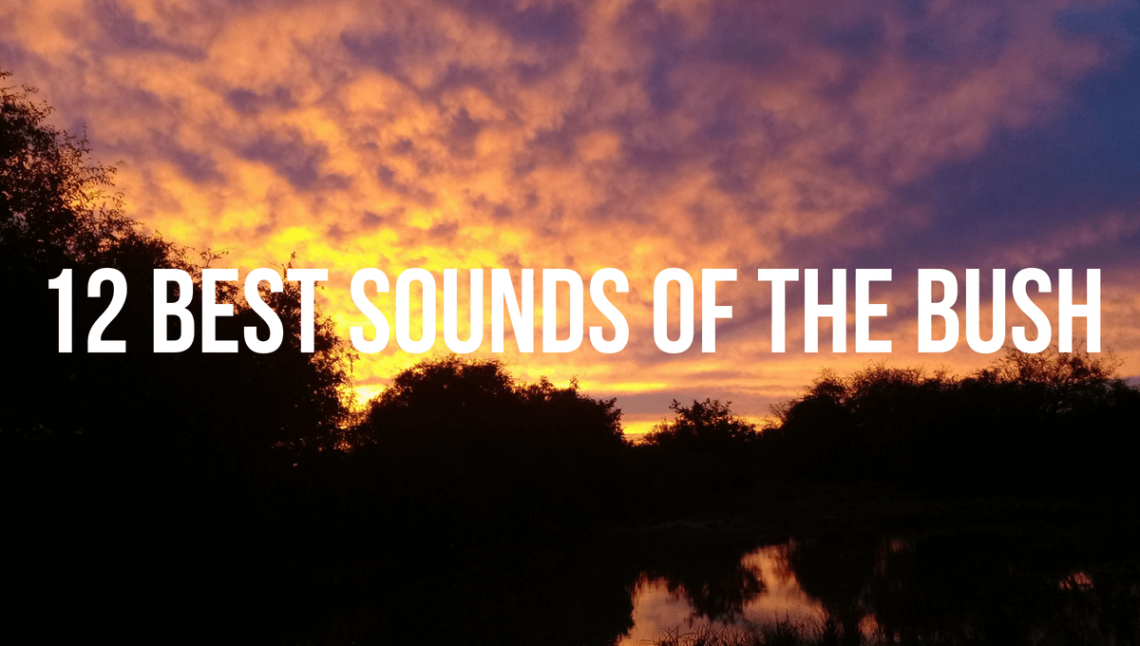 12 Best Sounds of the Bush