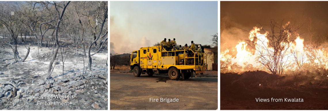 Wildfire At Mabalingwe Nature Reserve